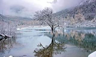 四川哪里下雪了 四川哪里下雪了