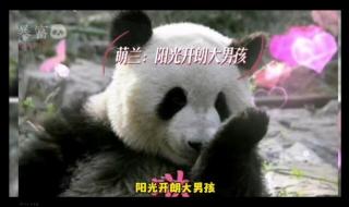 阳光开朗大男孩 阳光开朗大男孩