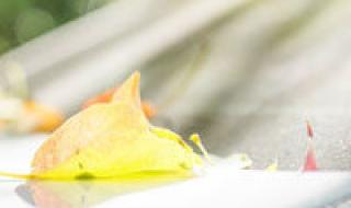 动画片黑猫警长全集 动画片黑猫警长全集