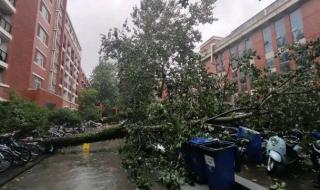 郑州大学专业排名 郑州大学专业排名