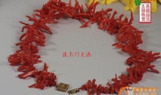 红辣椒美国版红辣椒 红辣椒美国版红辣椒