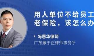 养老保险交多少钱