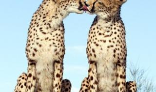 哔哔哩哔哩 哔哔哩哔哩