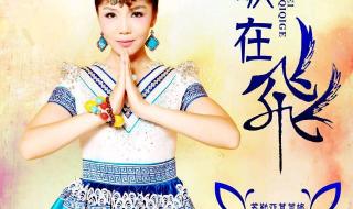 歌在飞原唱 歌在飞原唱