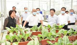 河北工程大学洺关校区 河北工程大学洺关校区