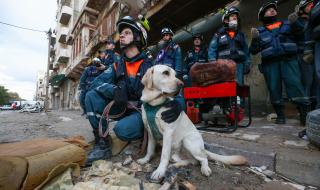 济南地震了吗刚才2023 济南地震了吗刚才2023