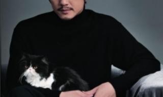 宋丹丹出了什么事