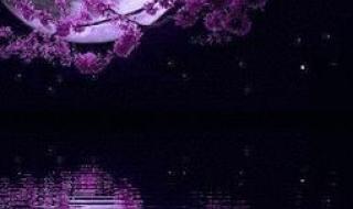 中秋节快乐图片2021 中秋节快乐图片2021