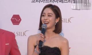 郑智薰主演的电视剧