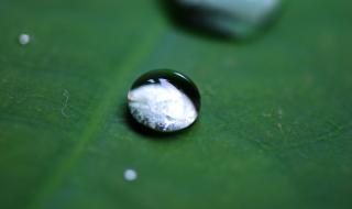 尼康d800配什么镜头 尼康d800配什么镜头