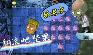 游戏植物大战僵尸 游戏植物大战僵尸